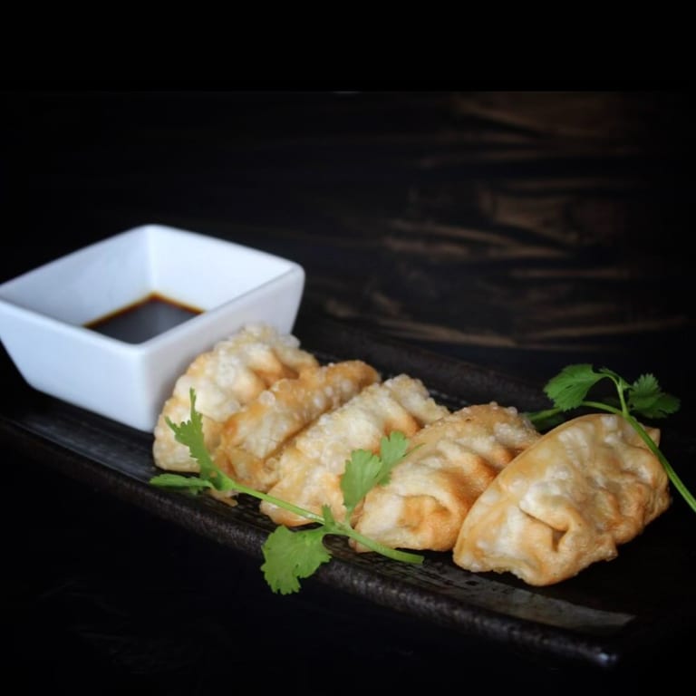 Savor Our Dumplings